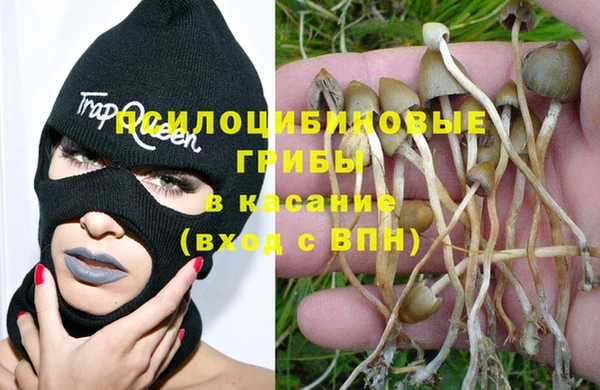 MESCALINE Абаза